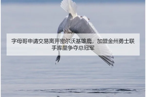 字母哥申请交易离开密尔沃基雄鹿，加盟金州勇士联手库里争夺总冠军