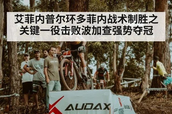 艾菲内普尔环多菲内战术制胜之关键一役击败波加查强势夺冠
